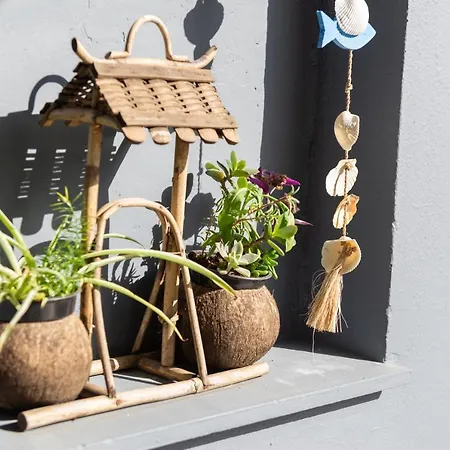 Traditional Apartment Archangelos (Rhodes)